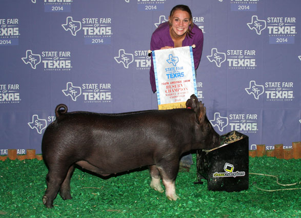 14 Grand Champion Collin County, TX Shown by Ashtyn Carr